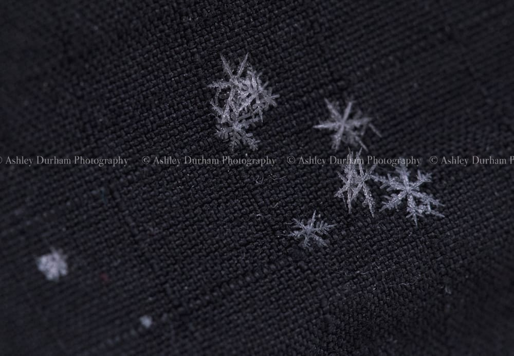 Macro Snowflake, snowflake up close
