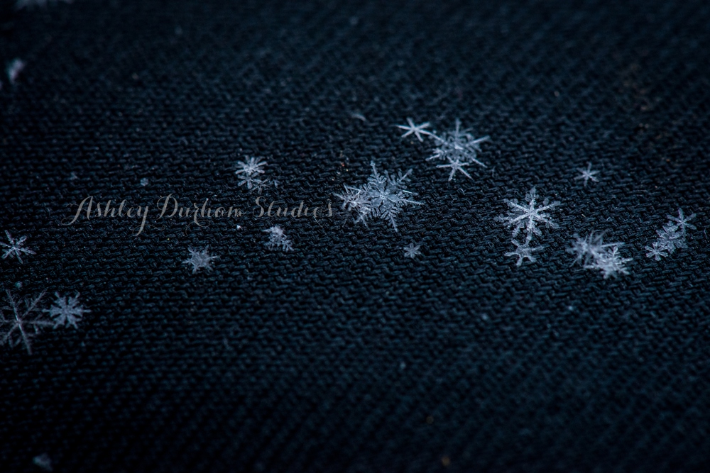 macro photography, macro snowflakes, what snowflakes really look like
