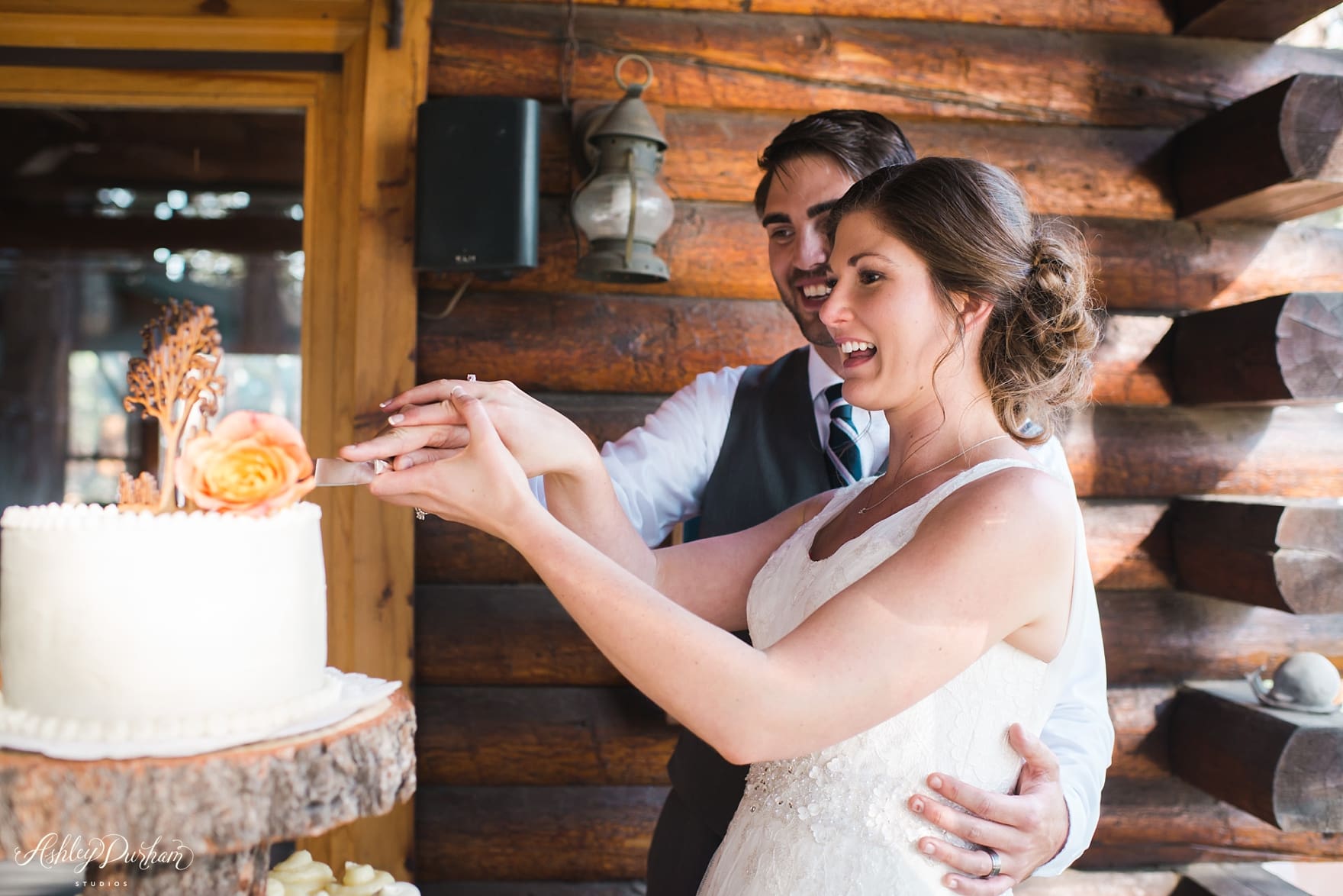 Inn at Fawnskin Wedding, Fawnksin Wedding, Big Bear Lake Wedding, cake cutting, lemon wedding cake