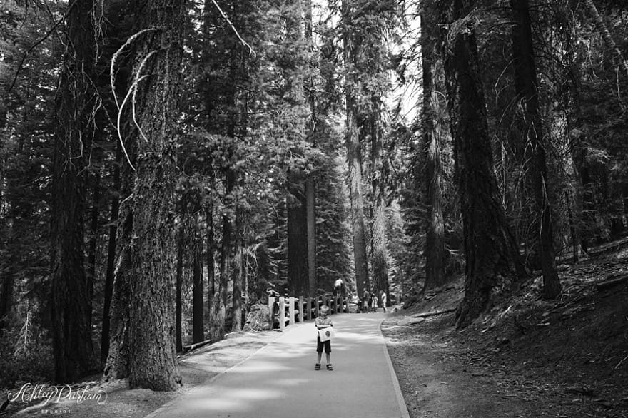 sequoia rv trip summer 2015_0022