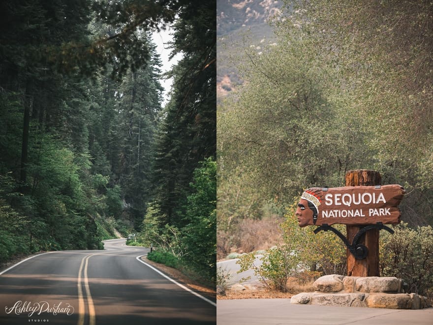 sequoia rv trip summer 2015_0028