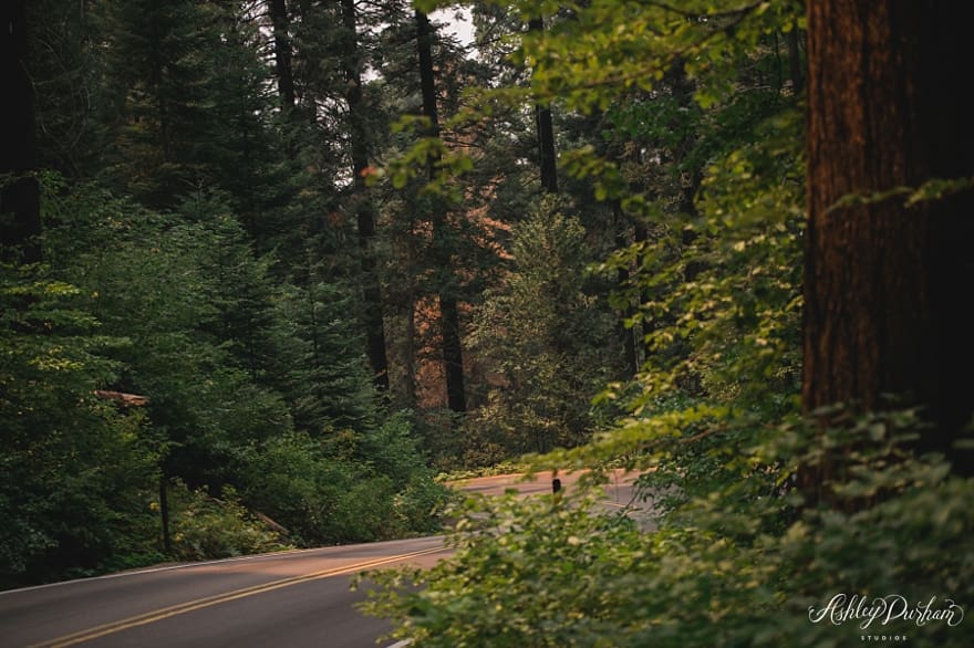 sequoia rv trip summer 2015_0031