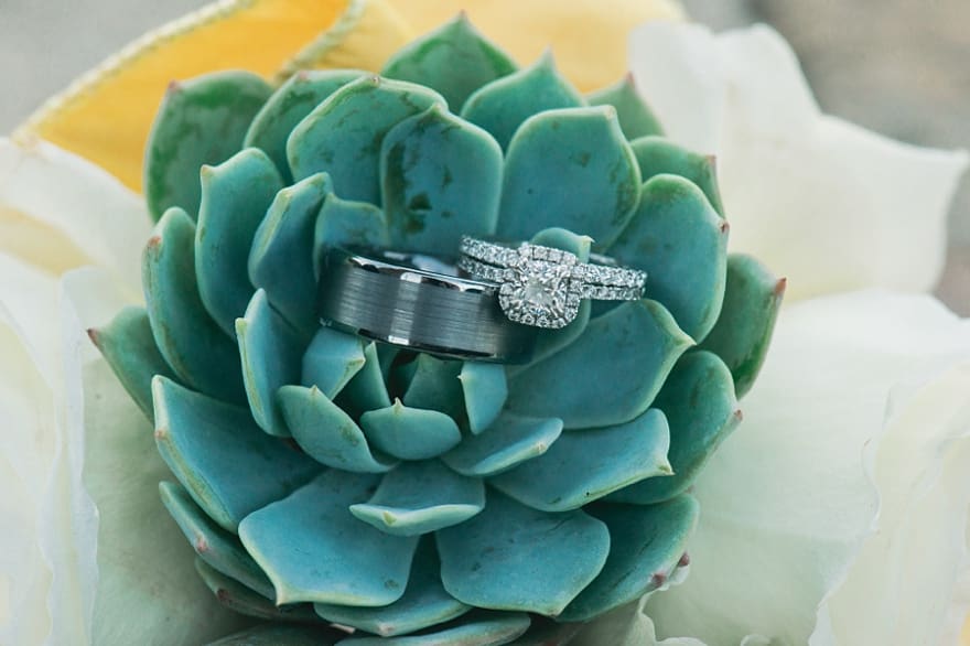 rings and succullents, desert wedding