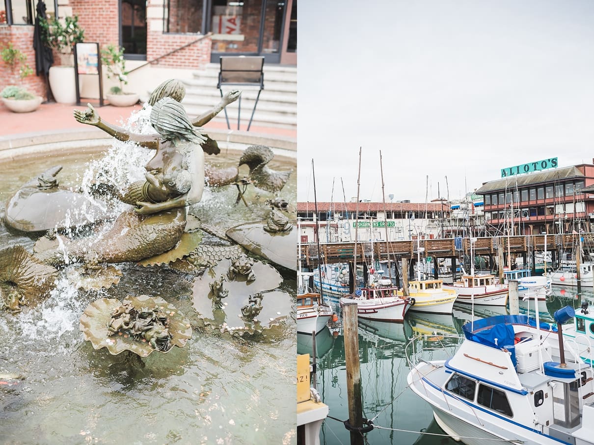 fisherman's wharf, san francisco, tourism photos san francisco, mermaid fountain, ghiradelli square