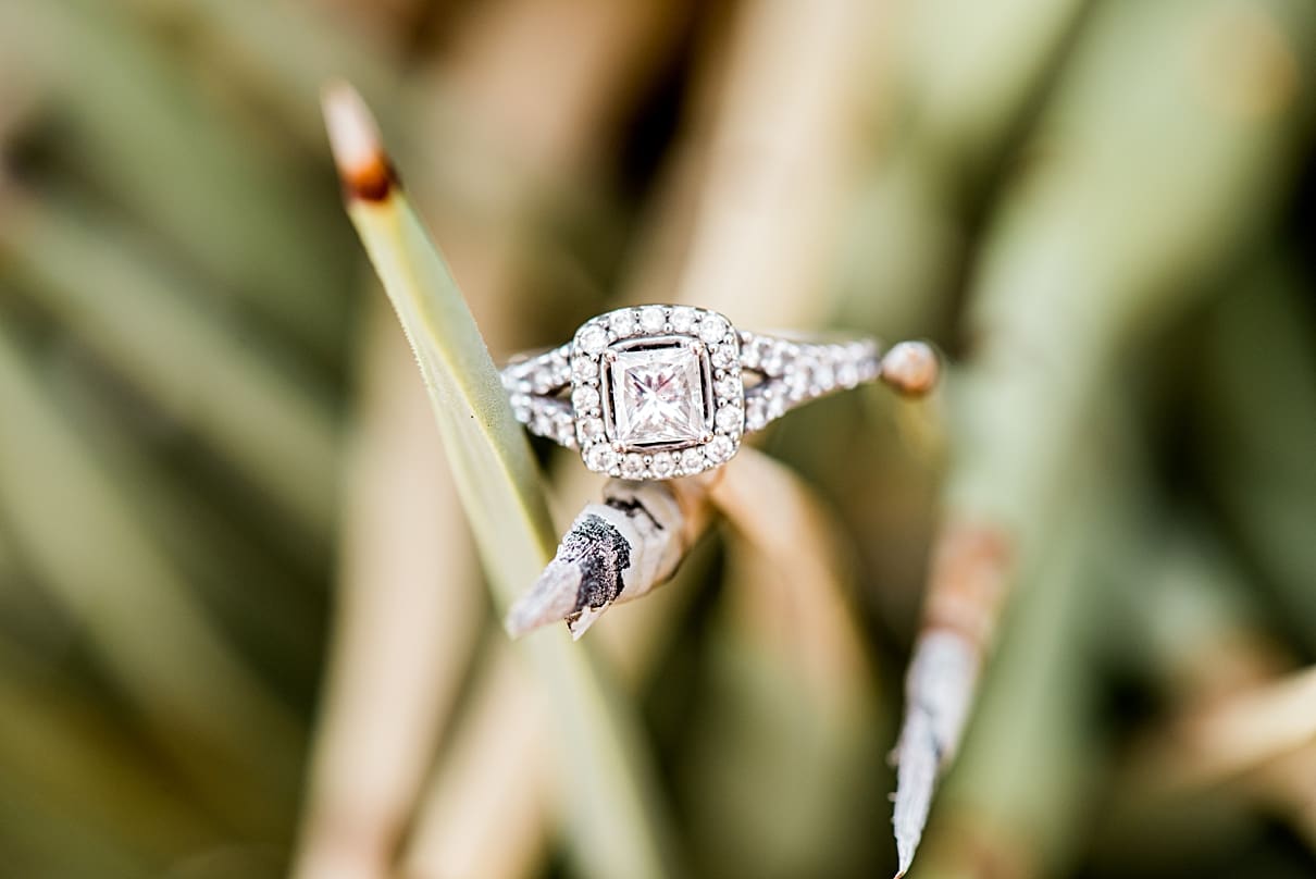 engagement ring photos, engagement ring on desert plants