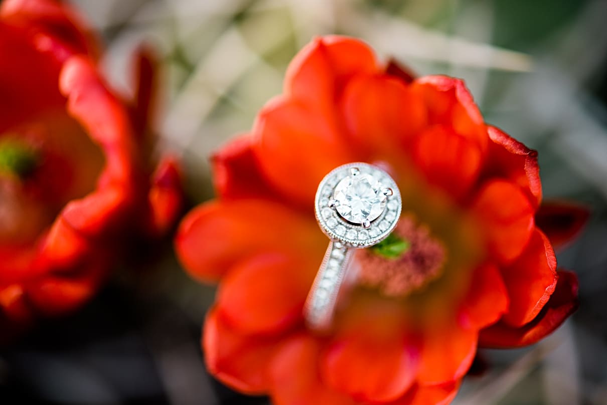 engagement ring in red flower