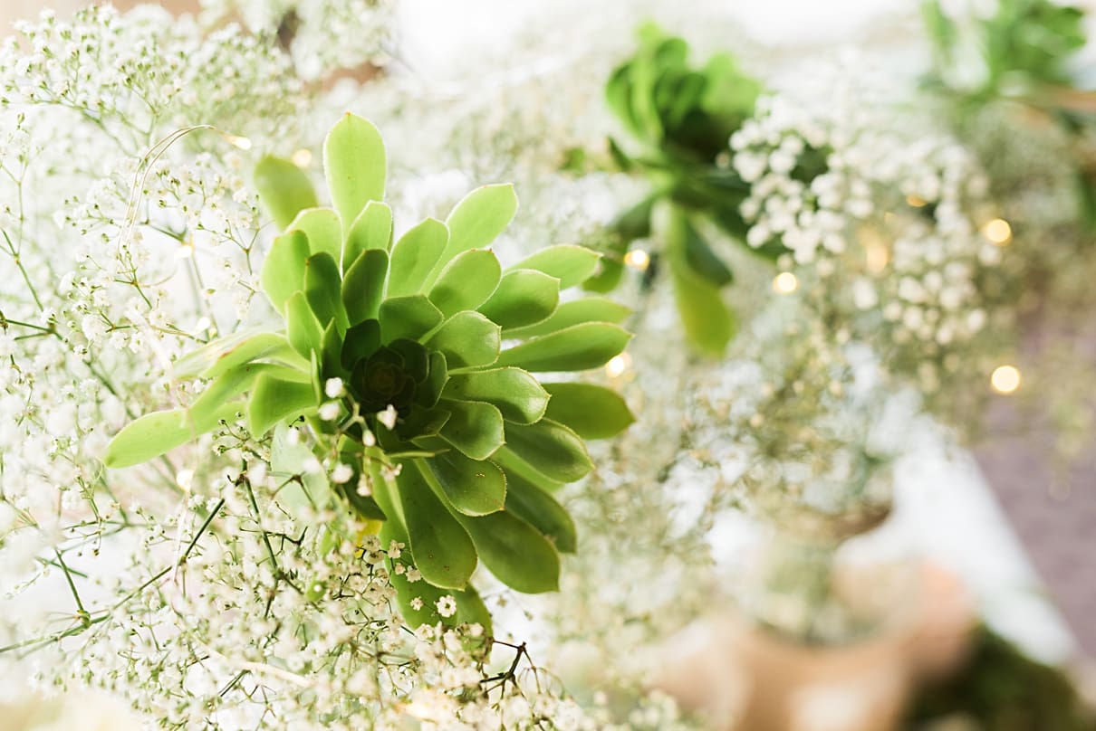succulents and babys breath wedding photos
