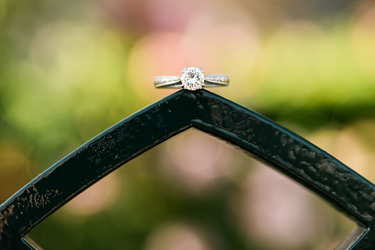 ring on a gate