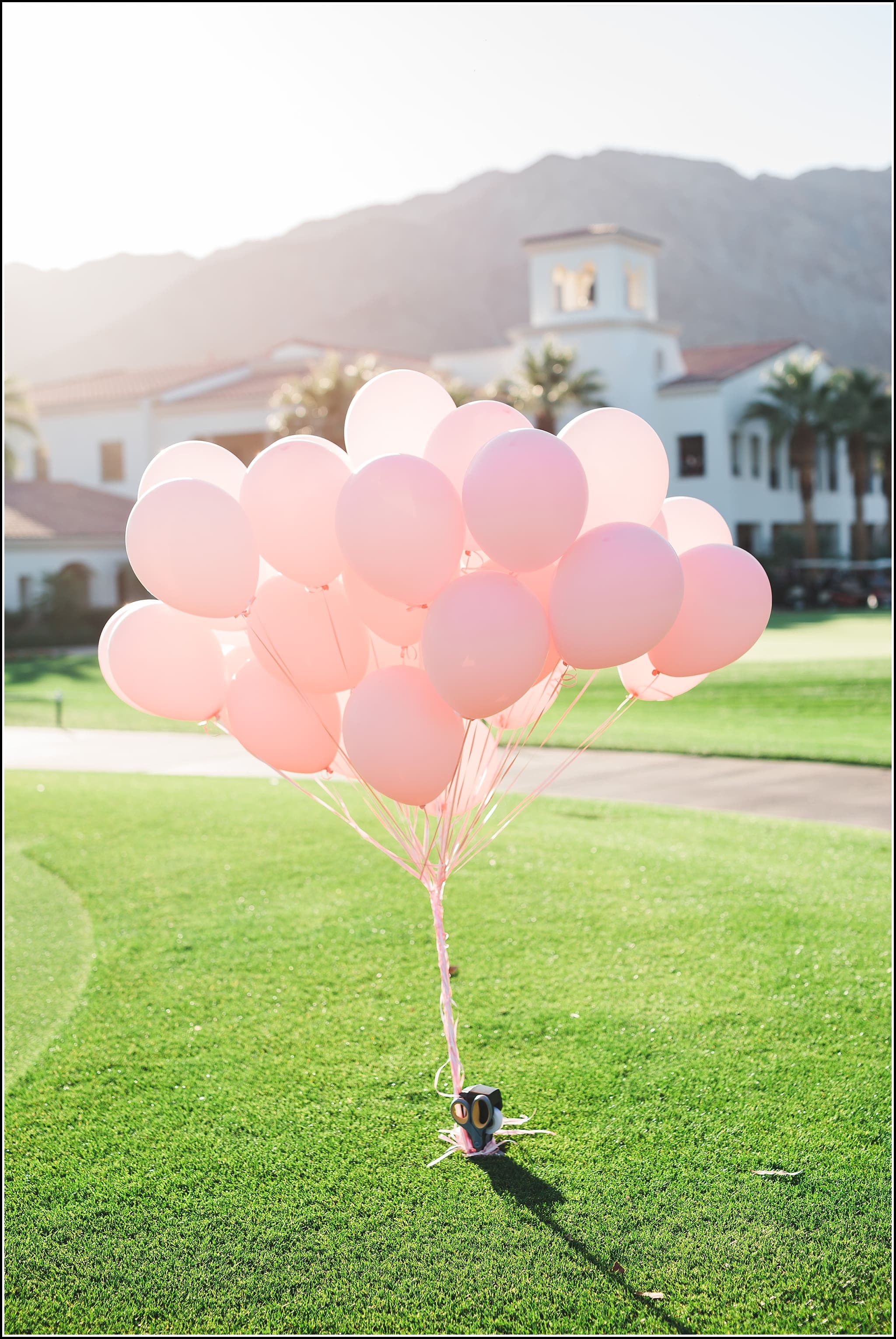 favorite wedding images 2016, wedding photos from 2016, our favorite wedding photos, breast cancer awareness at wedding, memorial ideas for weddings