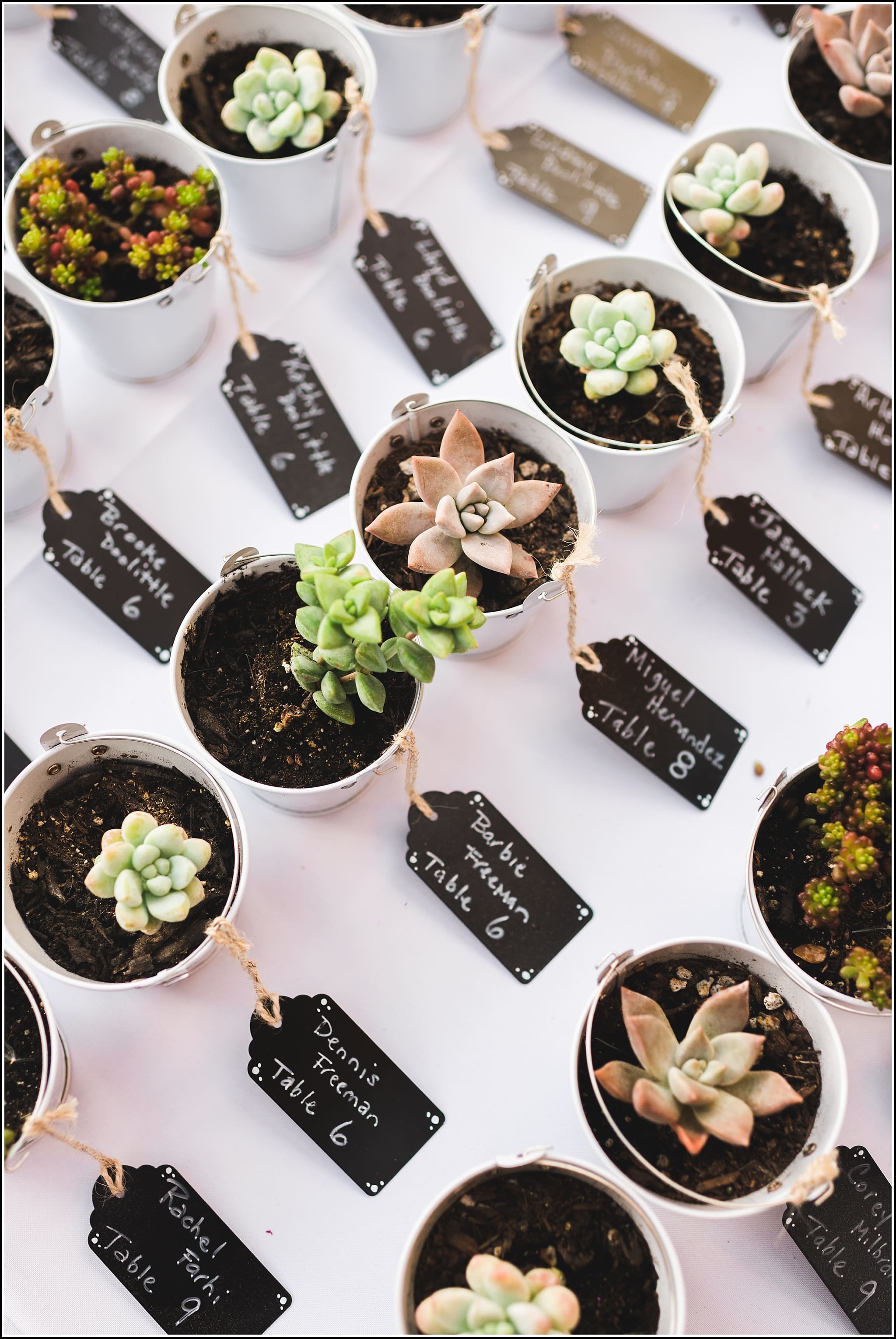  favorite wedding images 2016, wedding photos from 2016, our favorite wedding photos, succulent plant wedding gifts