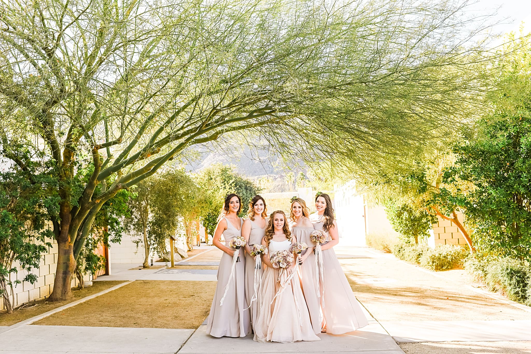 bridesmaids with palo verdes