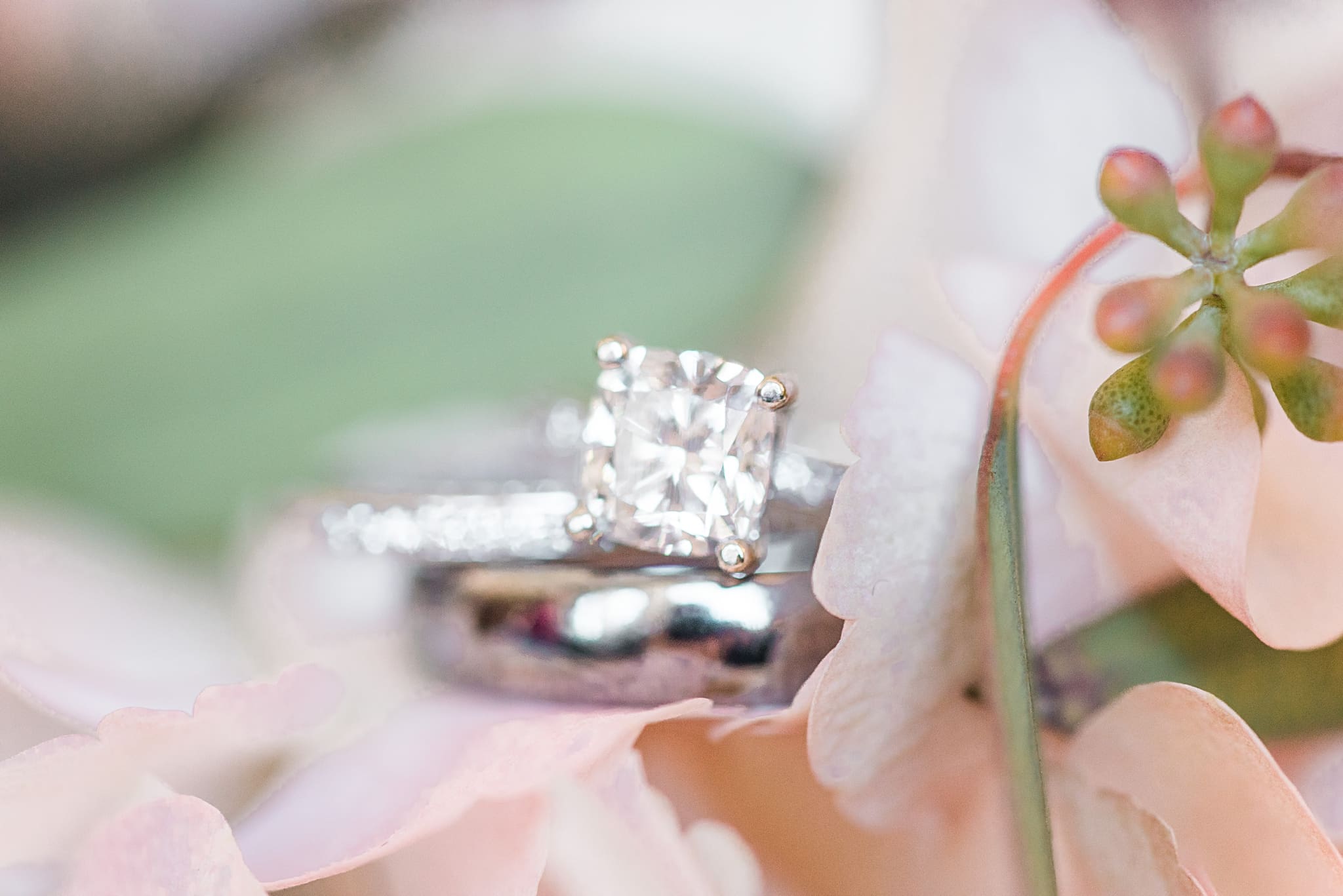 diamond wedding rings on flowers