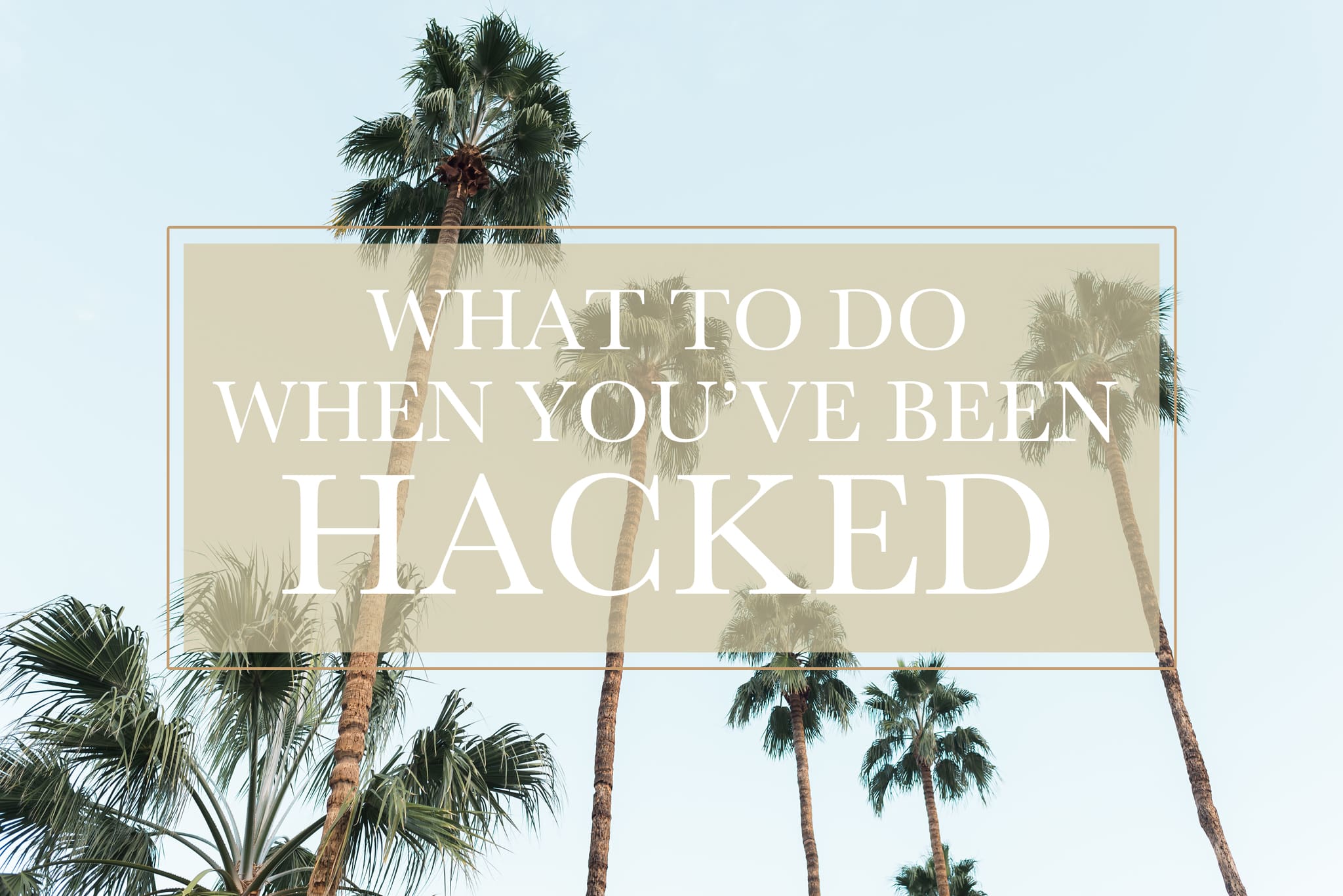 a step by step guide on what to do when you've been hacked