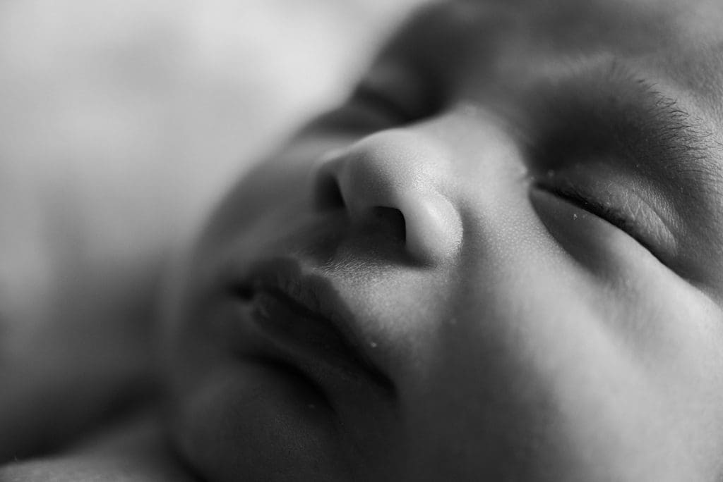 macro detail photo of newborn nose