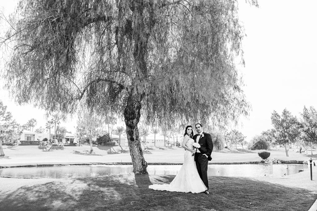 bride and groom black and white portrait under a tree