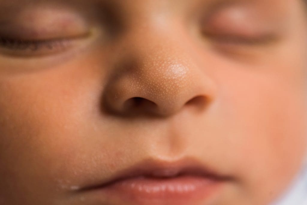 macro detail photo of newborn nose