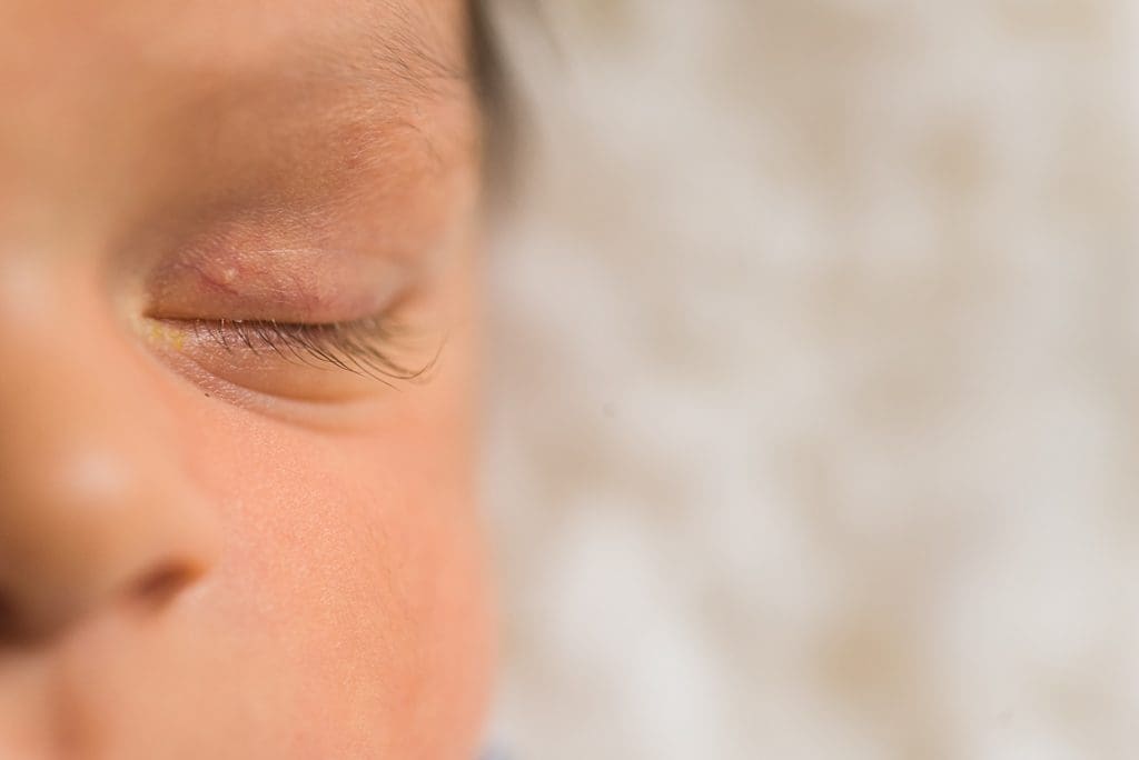 macro detail photo of newborn eyelashes