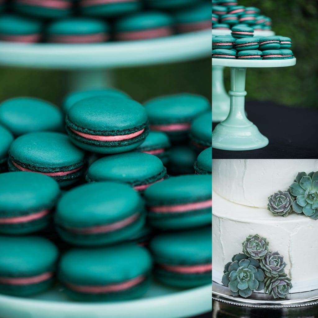 succulent cake and macaroons by over the rainbow desserts