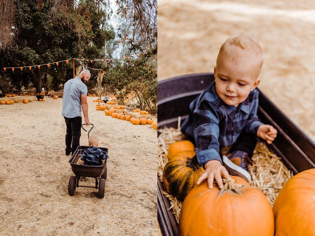 first birthday at the pumpkin patch