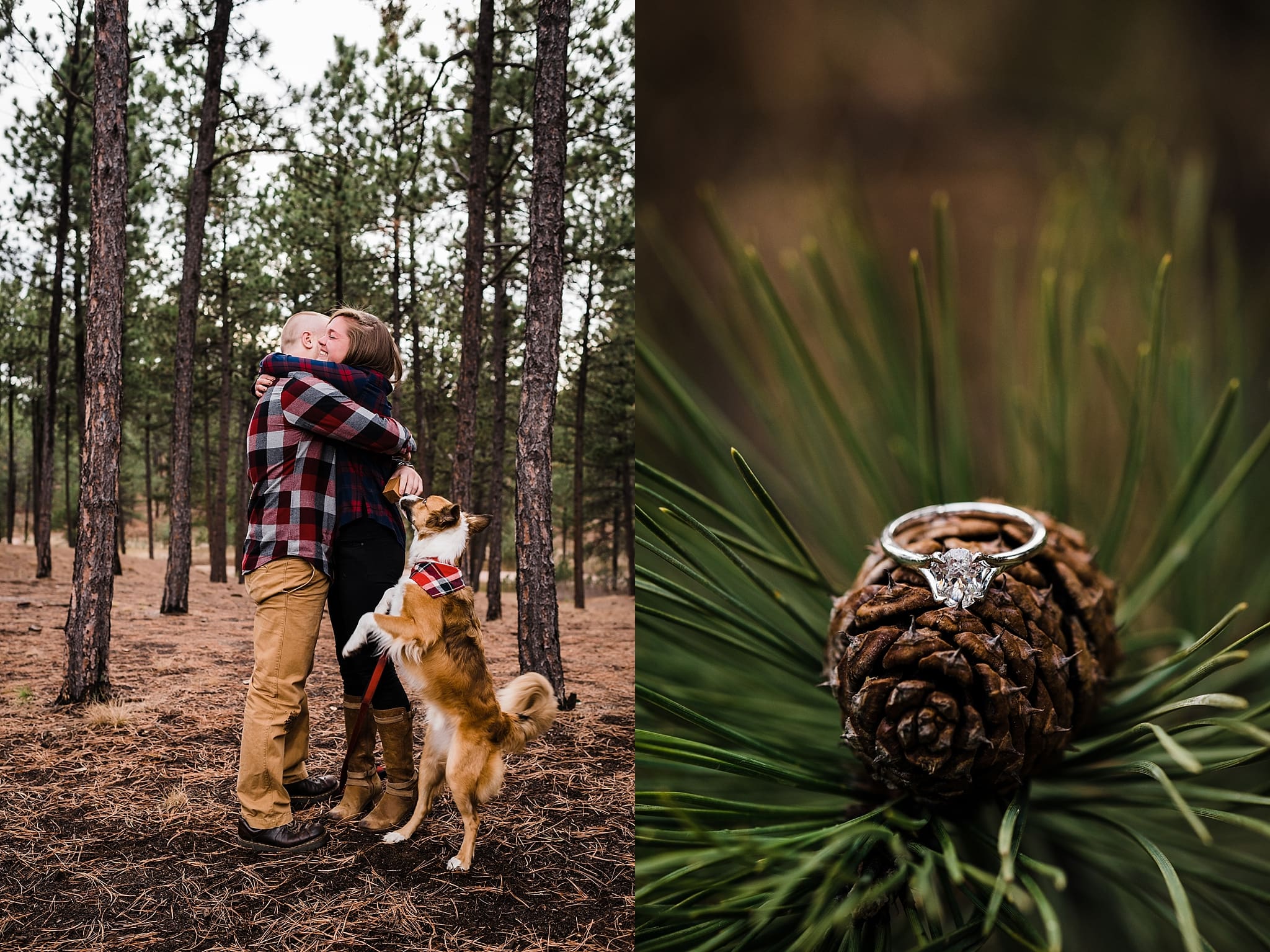 Surprise Proposal at Fox Run Park in Colorado Springs