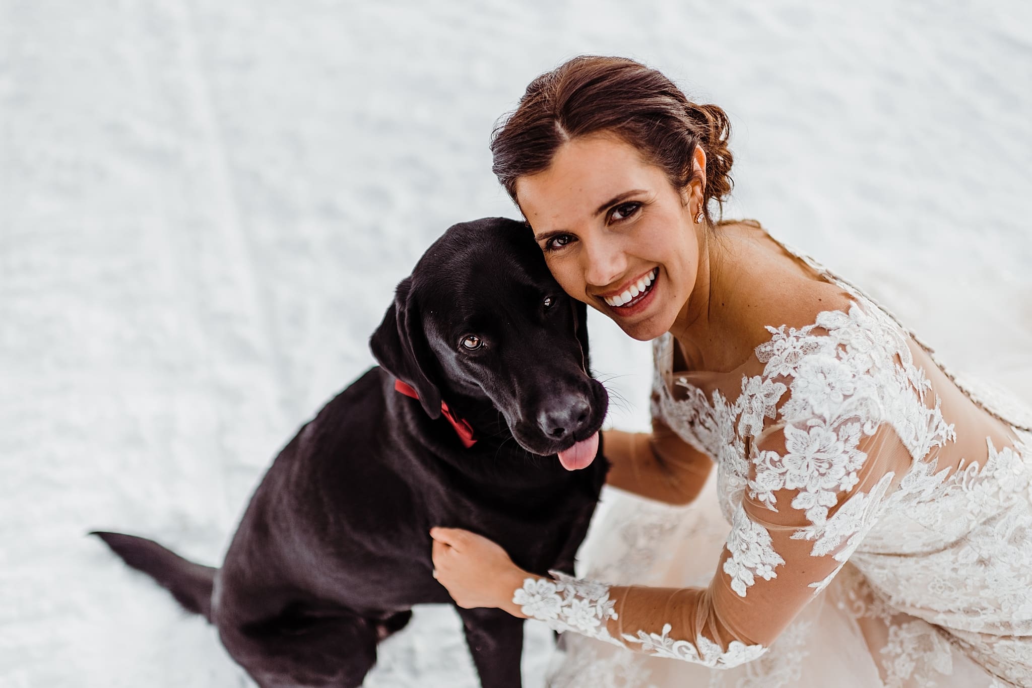 bride with flower dog with cranberry bowtie