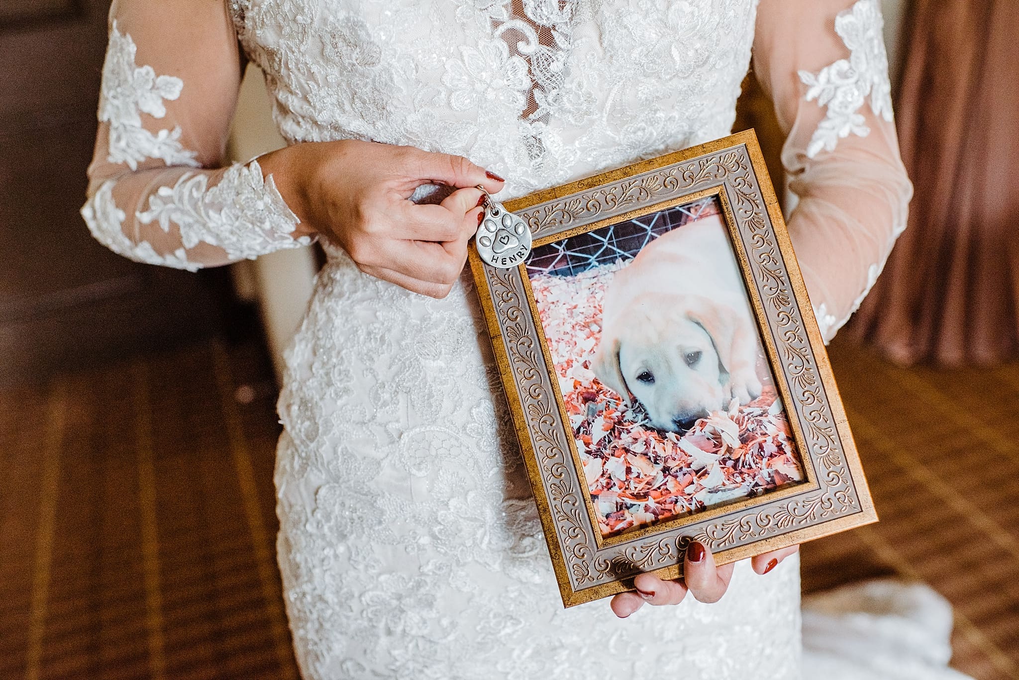 bride receives a puppy on wedding day