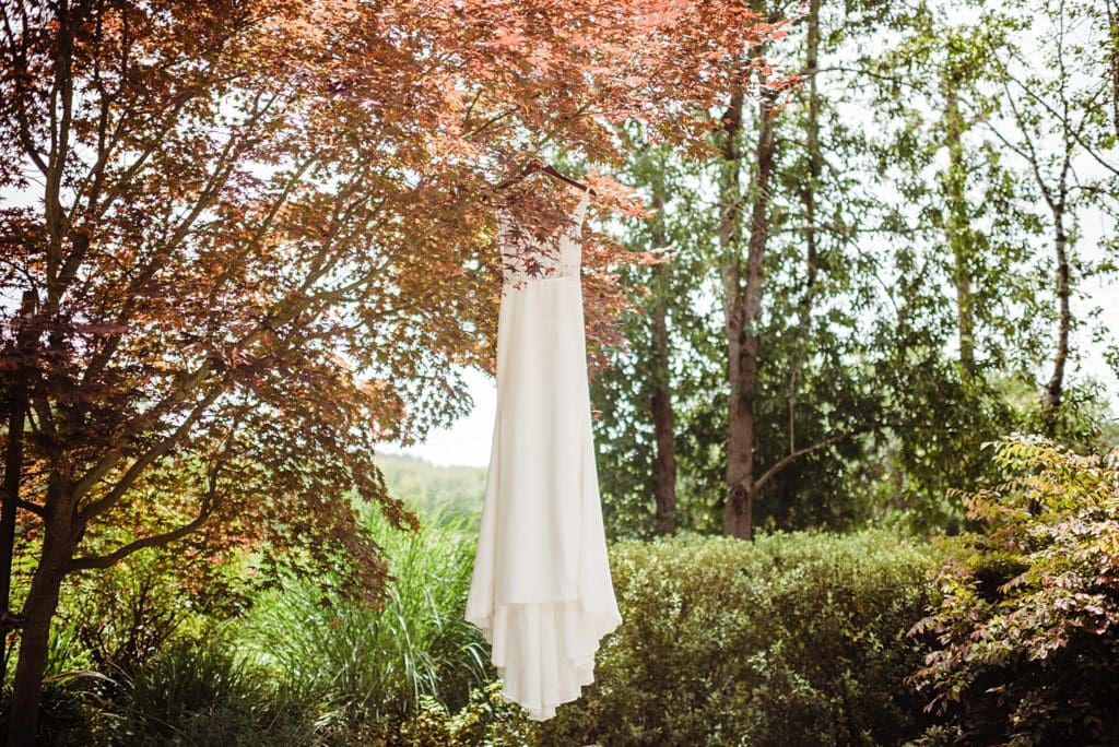 wedding dress in a tree