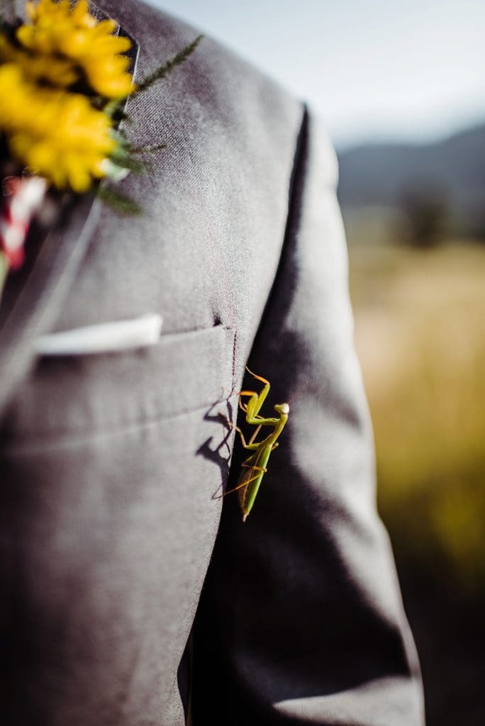 lory state park wedding photos
