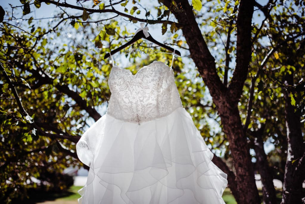 wedding gown in a tree