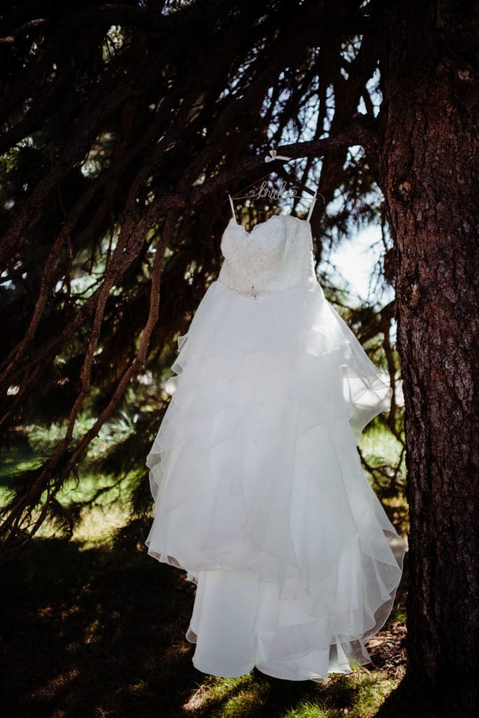 wedding gown in a tree