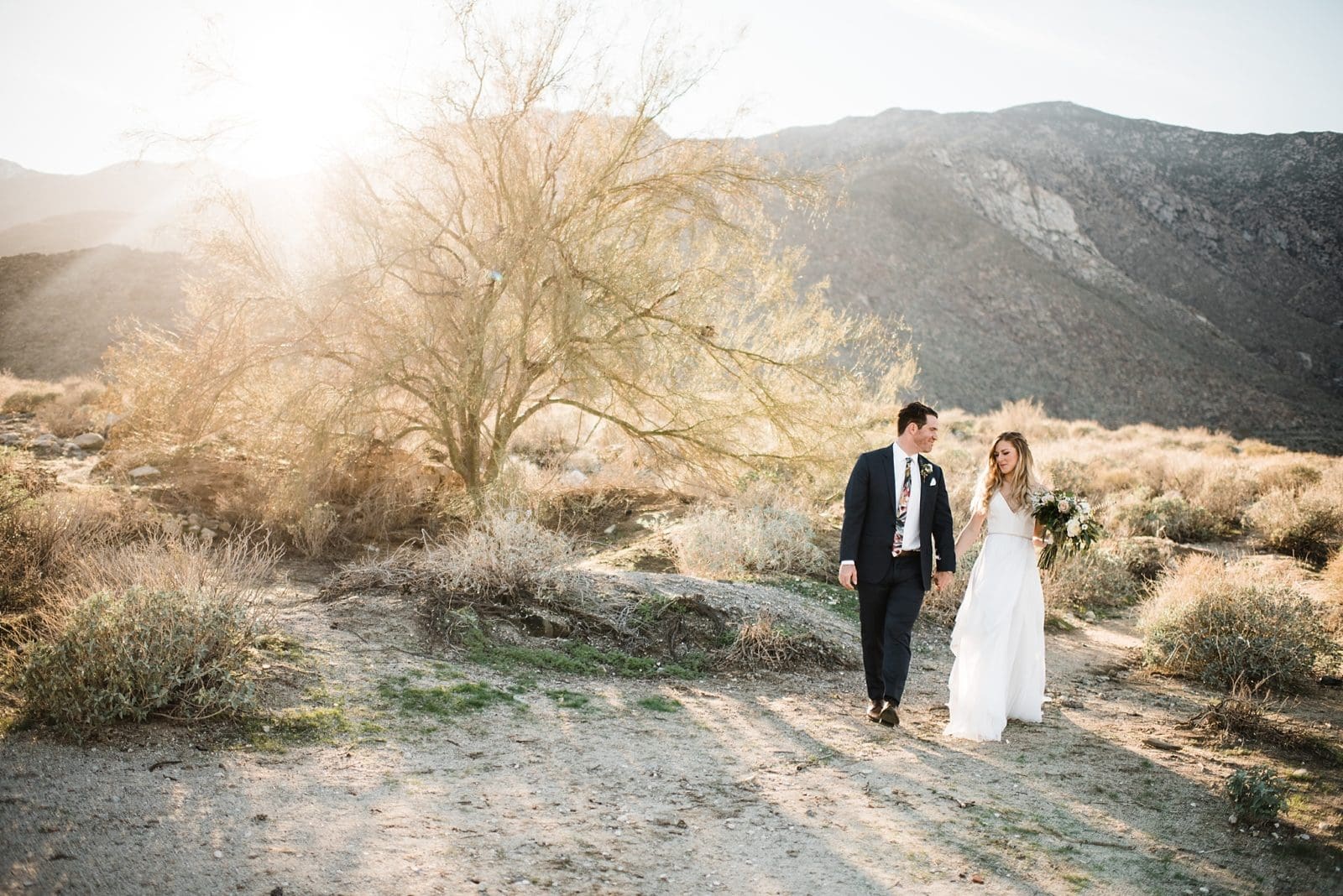 wedding photos in south palm springs in the desert