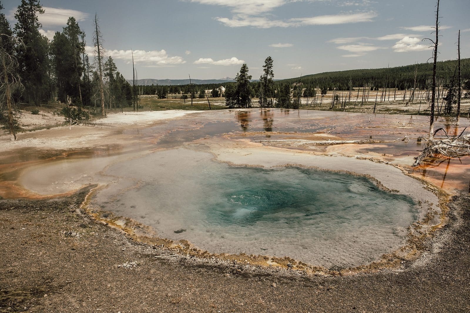 our summer vacation to yellowstone national park