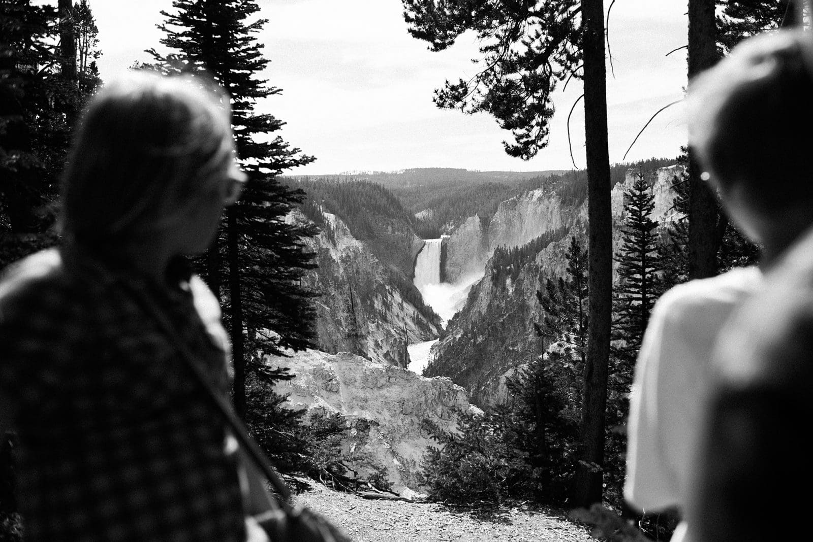 lower falls in yellowstone national park