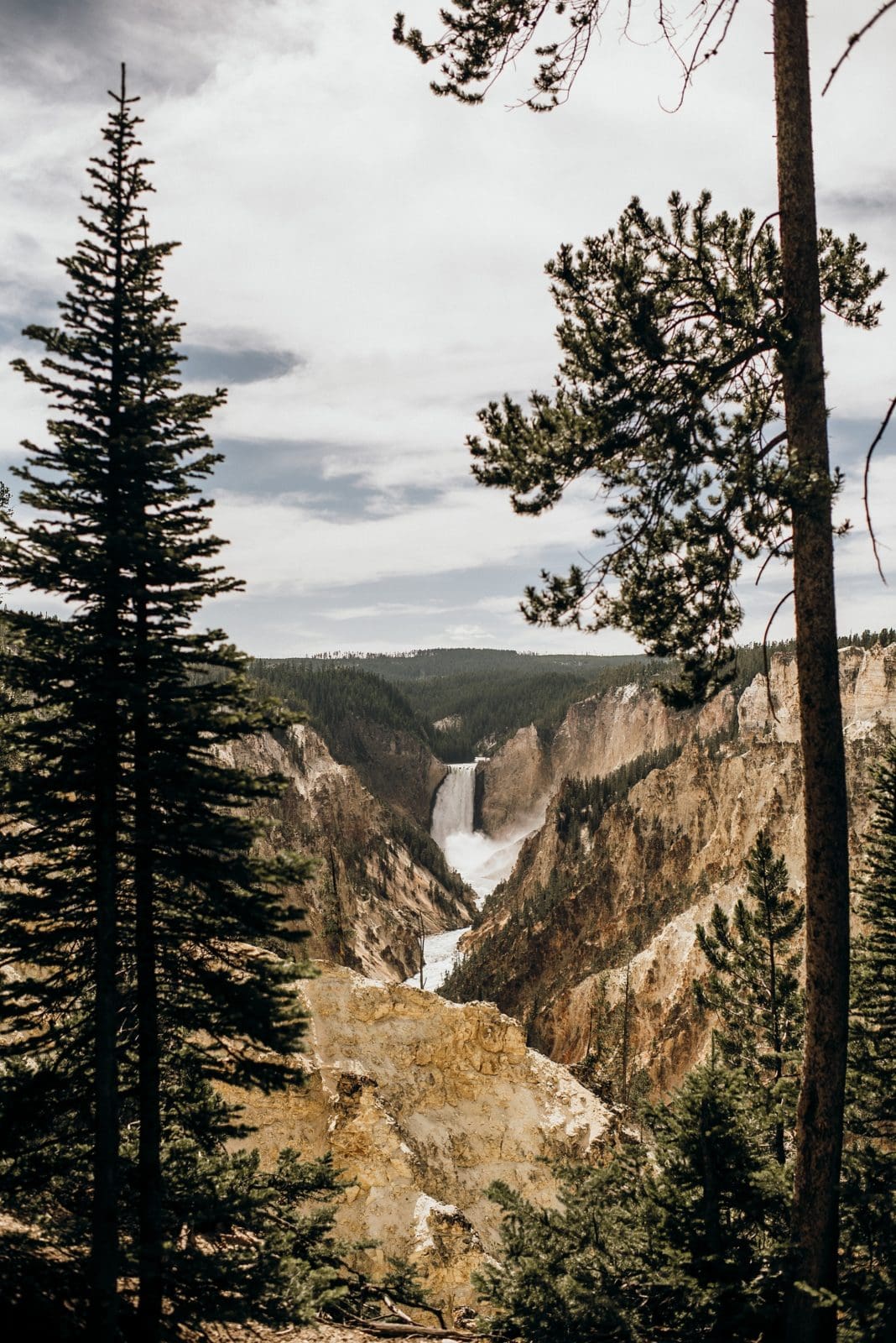 lower falls in yellowstone national park