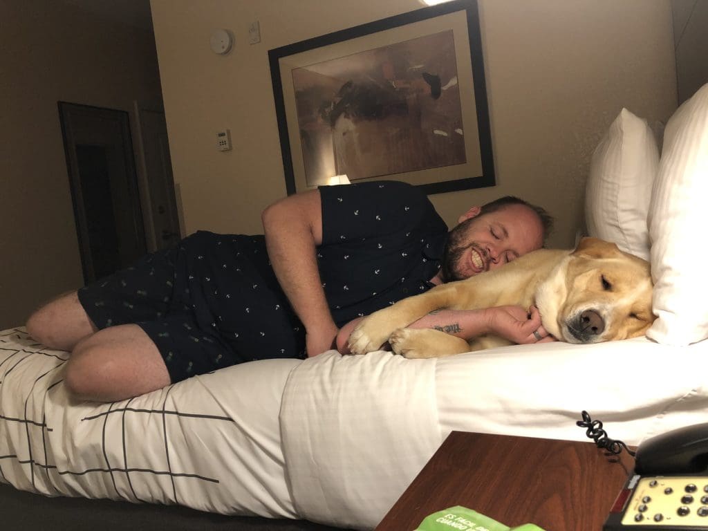 hotel with dogs