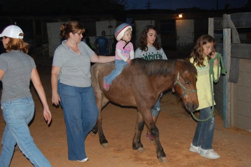 physical therapy on a horse for children