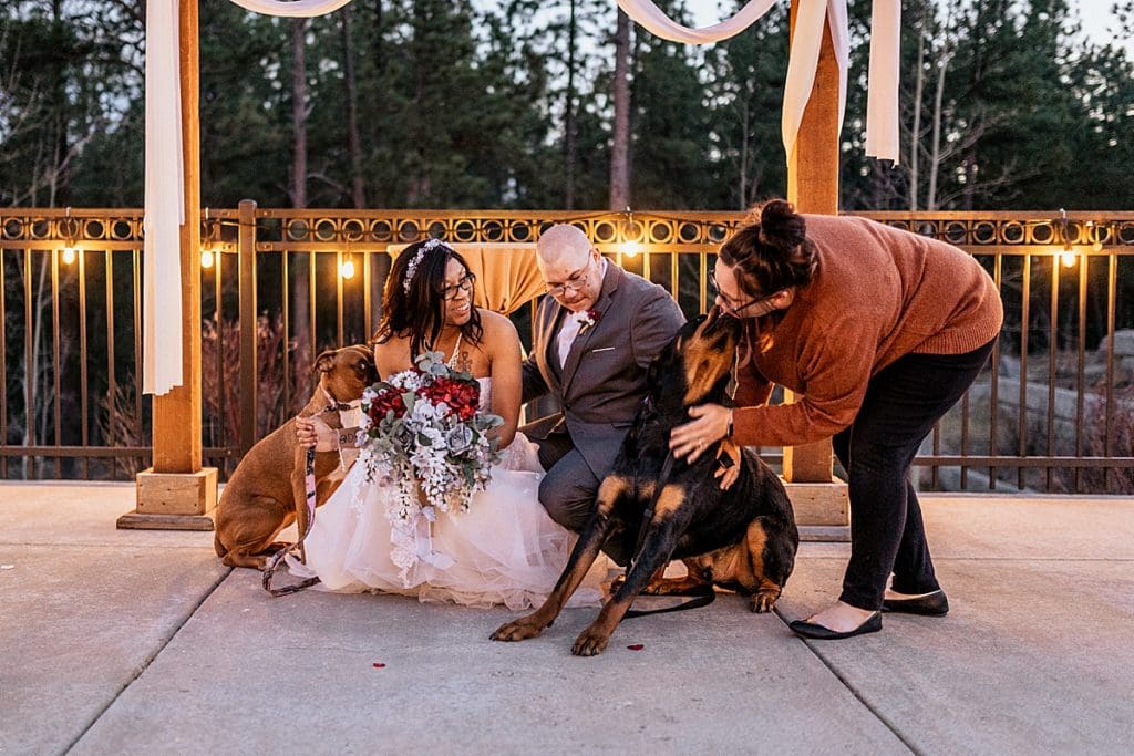 ashley durham with a rottweiler and wedding couple
