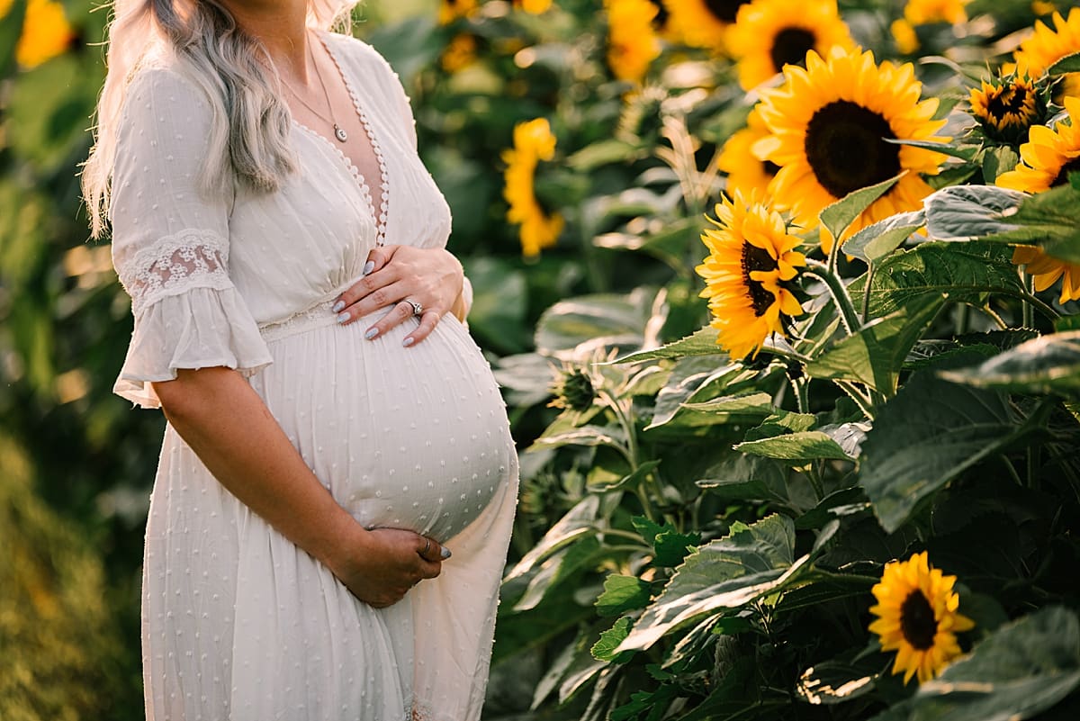 pregnant belly sunflower field