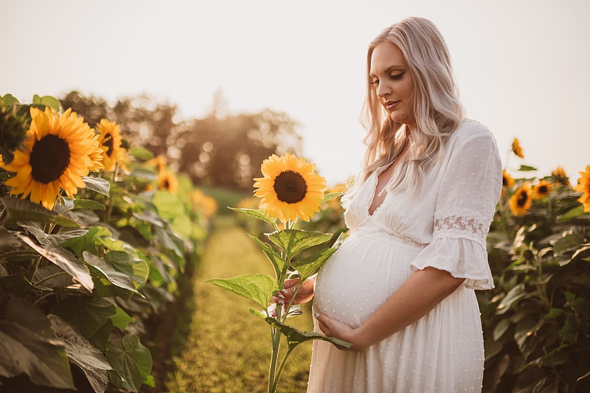 pregnancy photos sunflower field southern wisconsin
