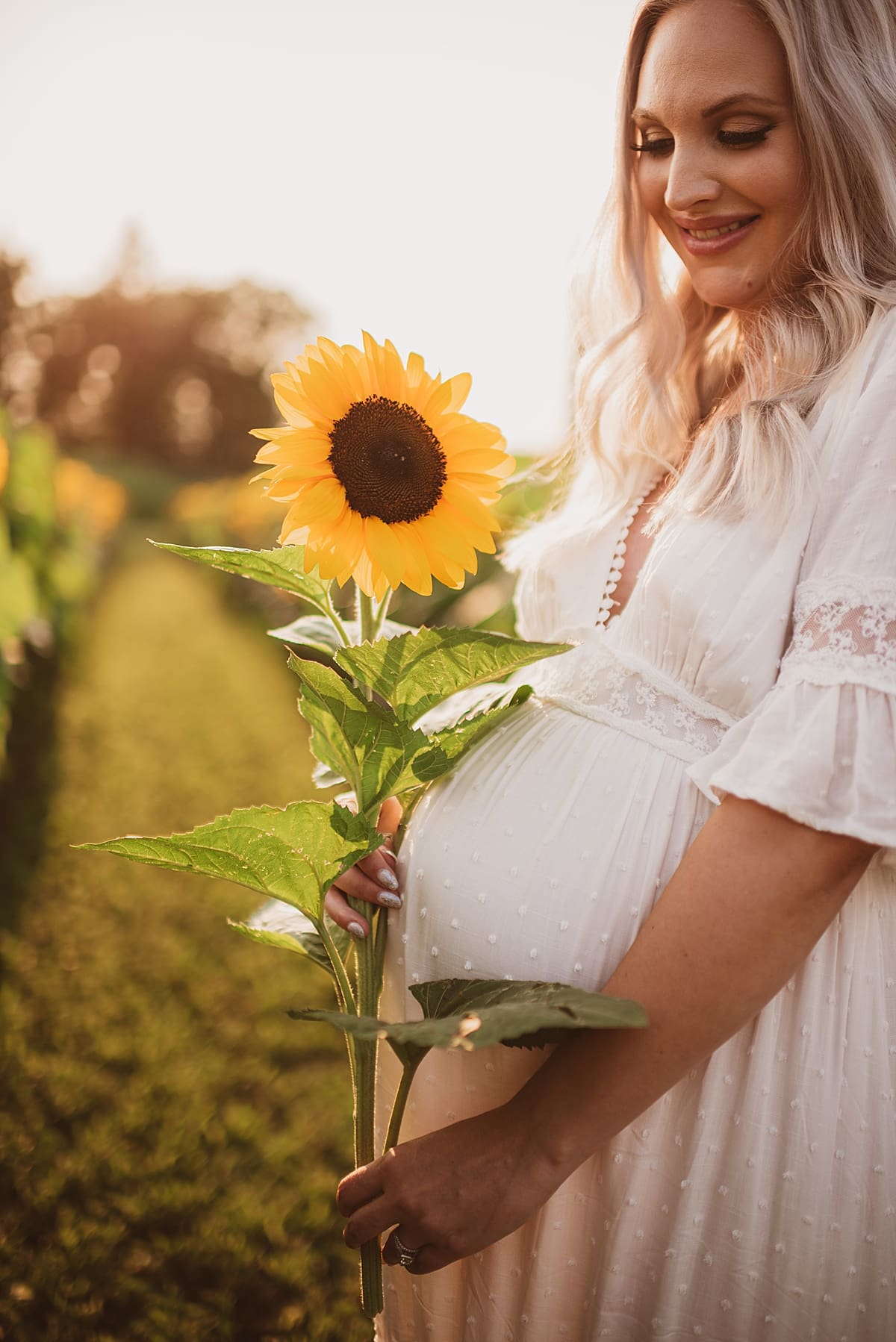 summer maternity photos in a sunflower field
