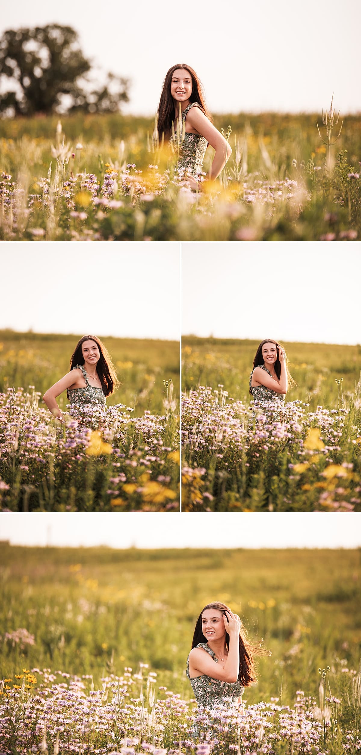 senior girl in purple flower field