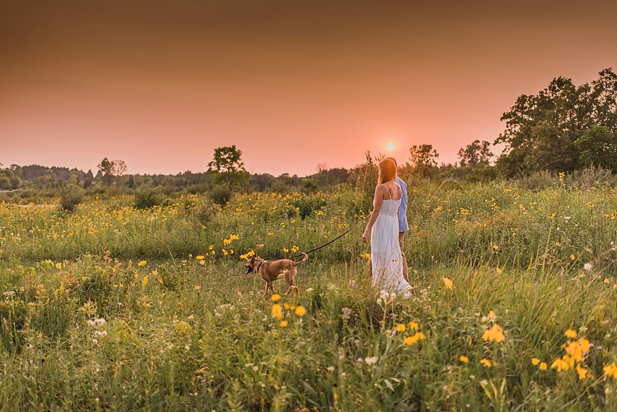 couple walking with dog in a field of flowers