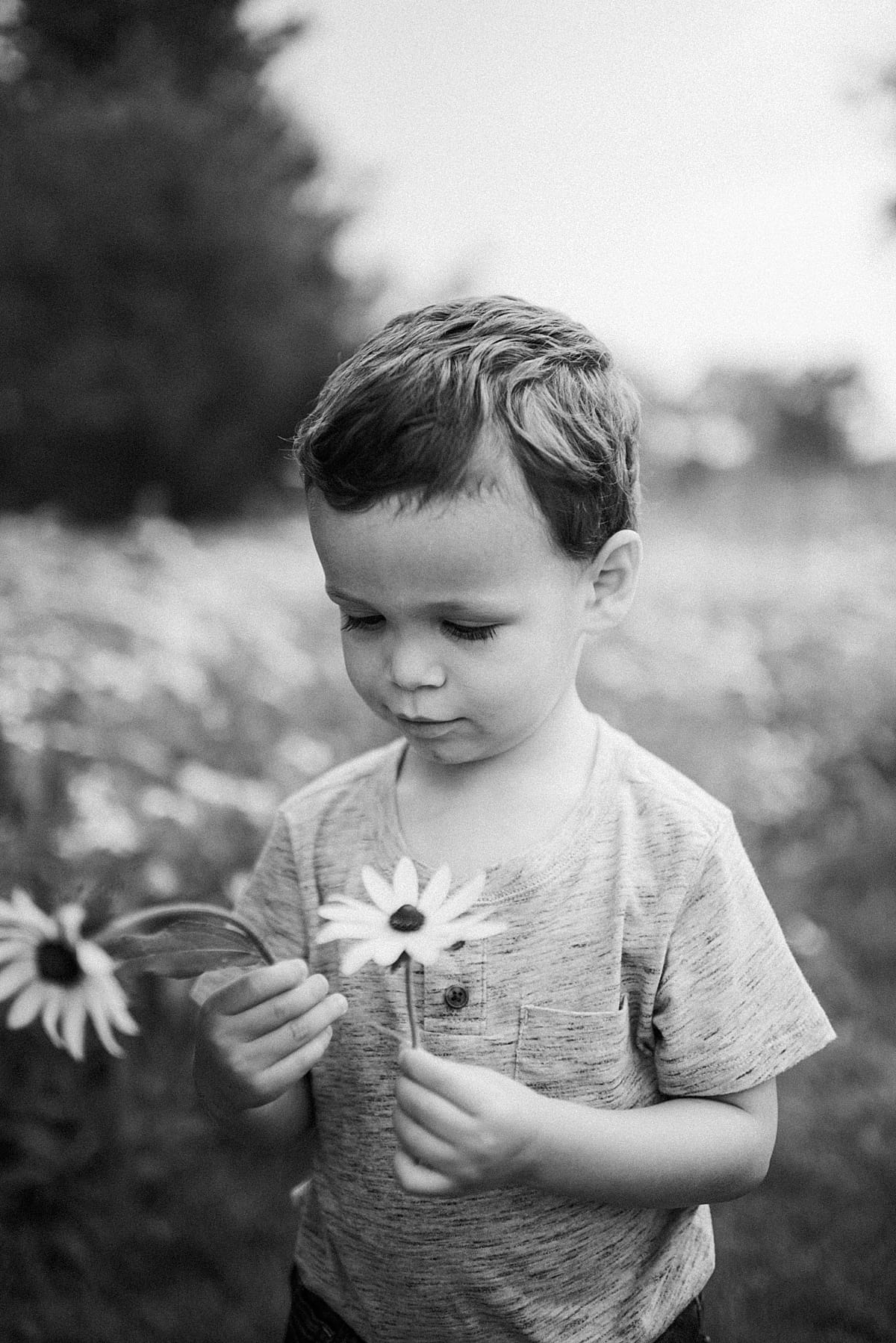 3 year old boy holding a wildflower