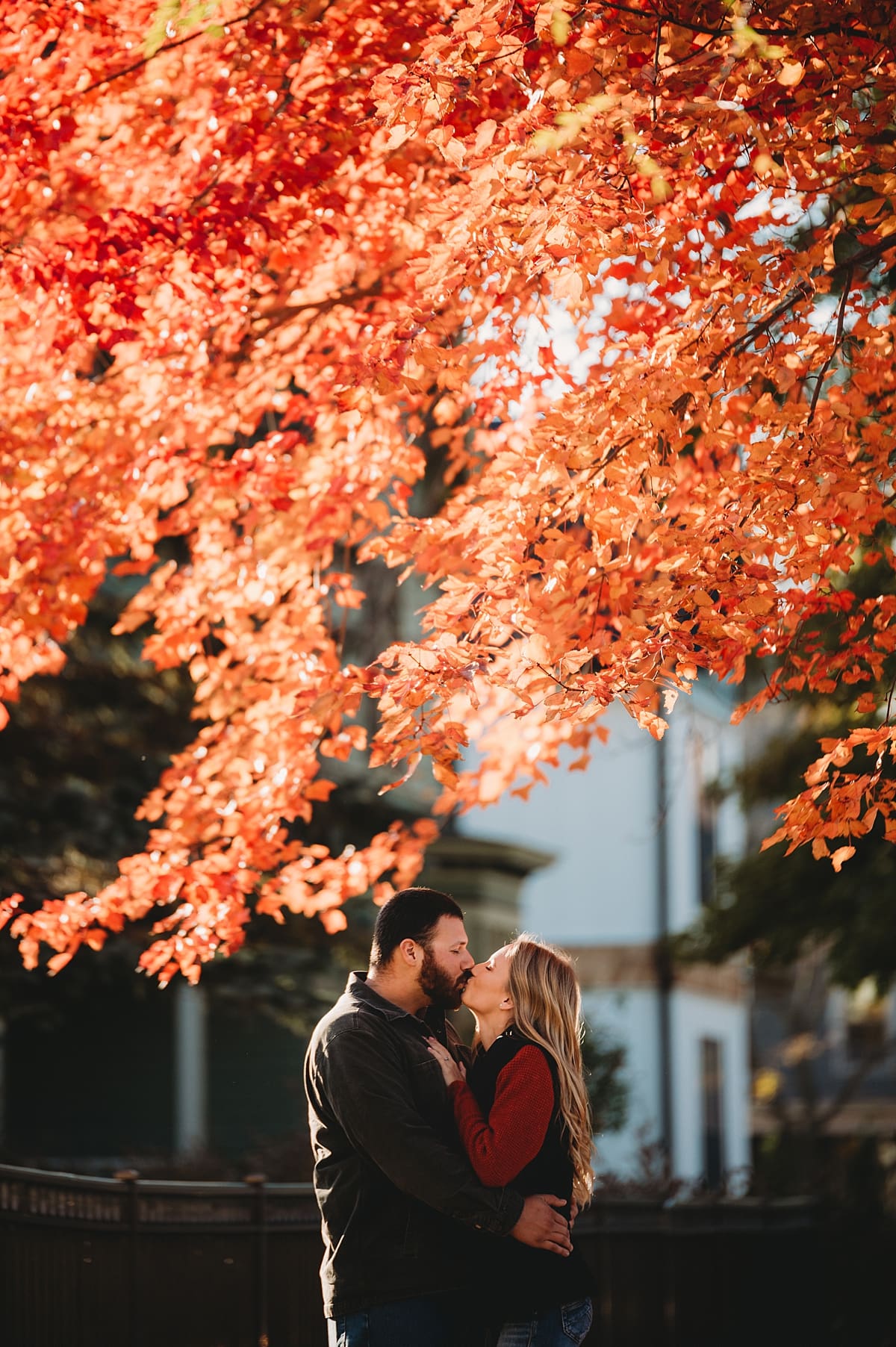 couple kissing under red leaf tree