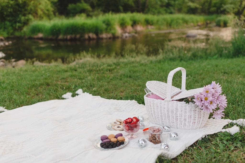summer picnic engagement session at white river county. park in lake geneva