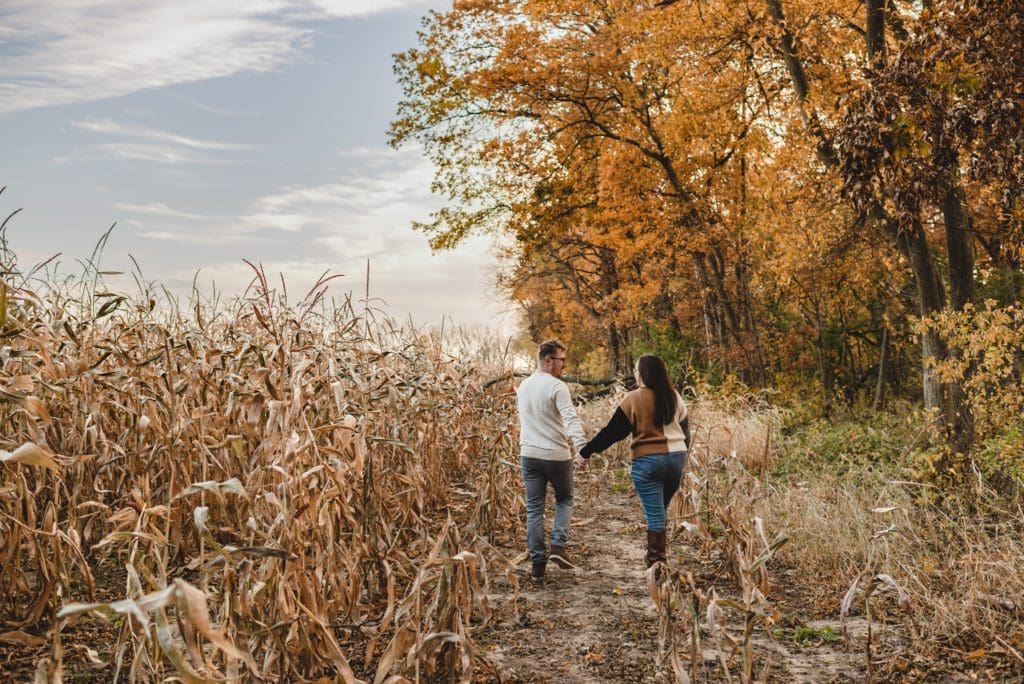 wisconsin engagement photography session next to corn field