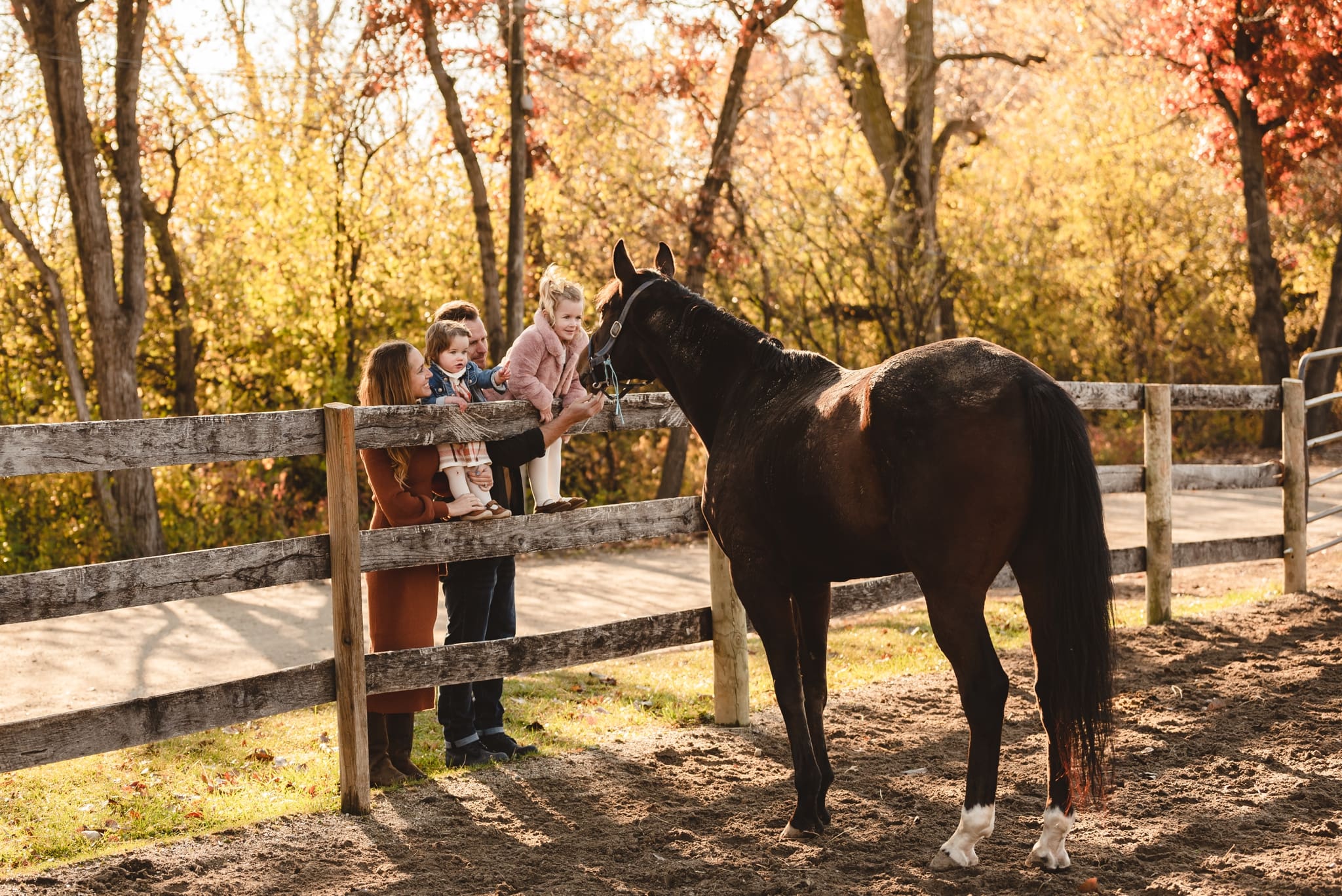 family photos at a horse stable