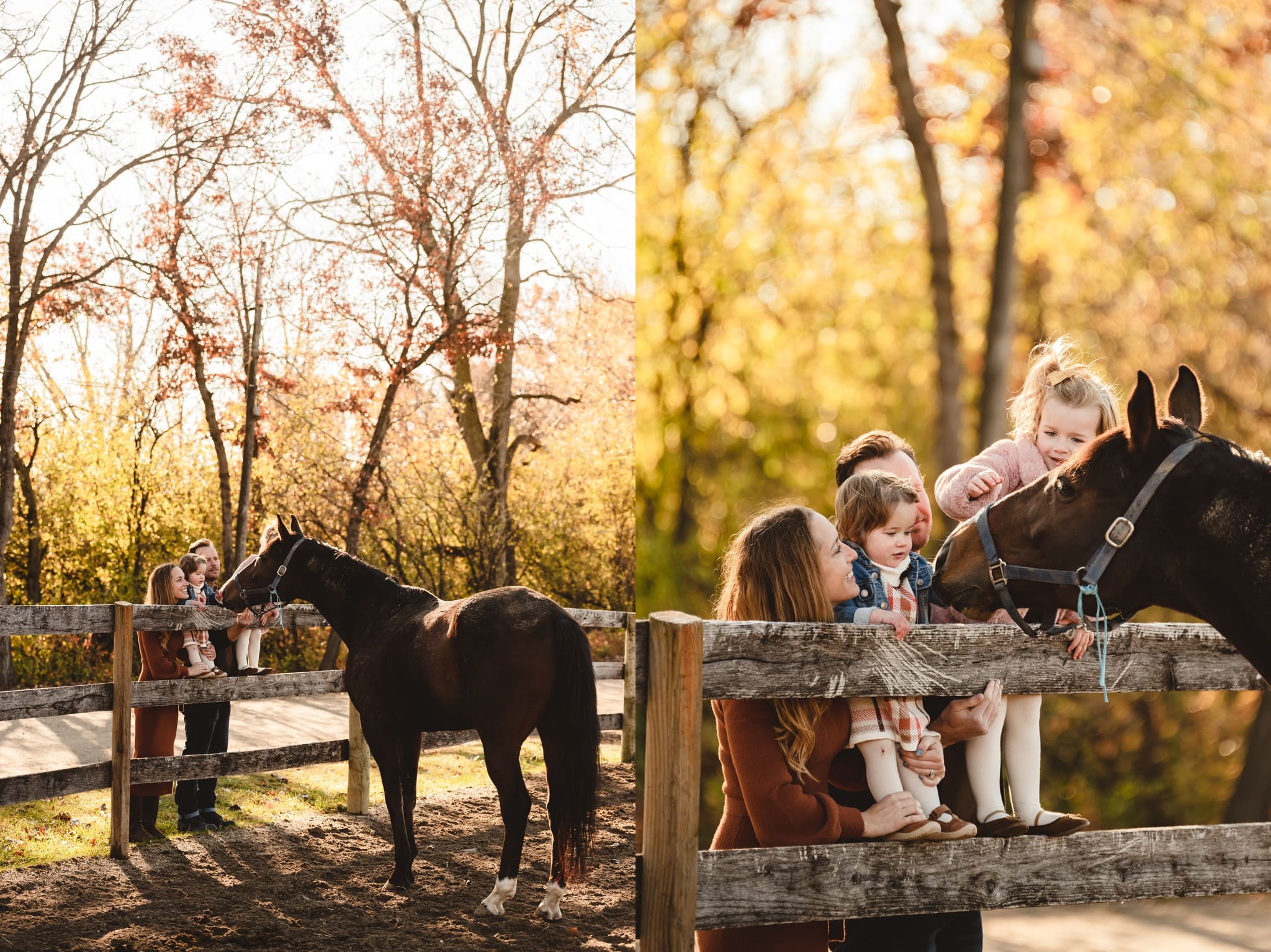 family photos at a horse stable