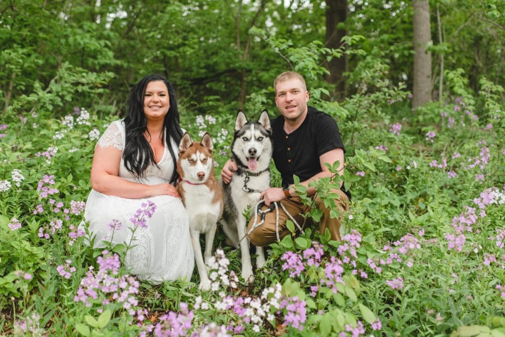 engagement photos with huskies